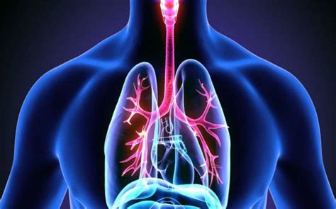 akciğer zarının iltihaplanması